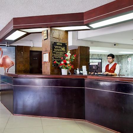 Hotel Ambassador Mérida Exteriör bild